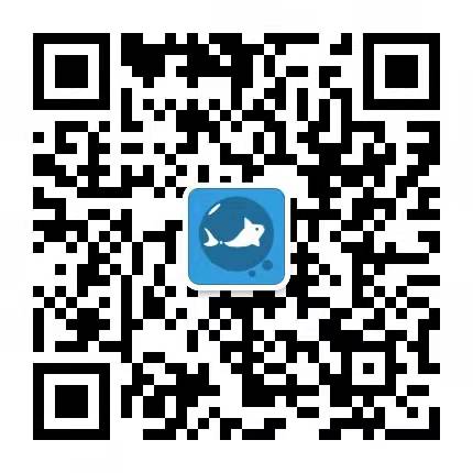 鱼浪科技客服二维码